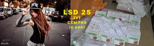 мескалин Богданович
