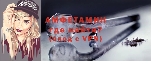 молекула духа Богородицк