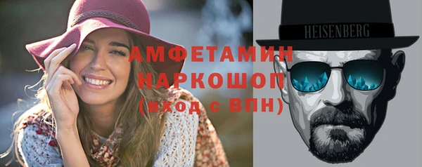 молекула духа Богородицк