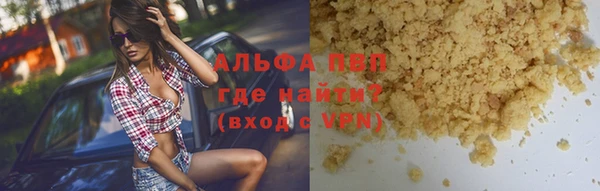 молекула духа Богородицк