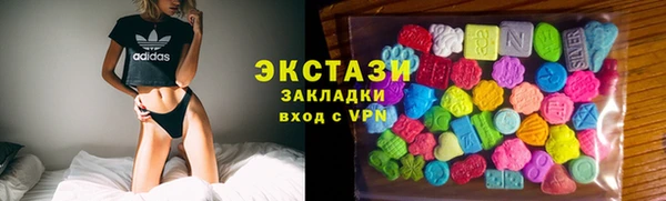 молекула духа Богородицк
