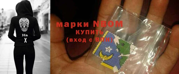 молекула духа Богородицк