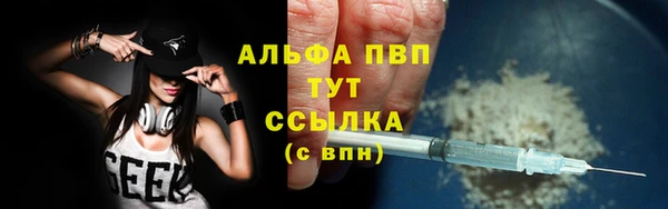 молекула духа Богородицк