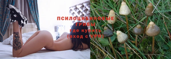 молекула духа Богородицк